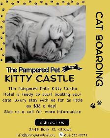 Pampered Pet Kitty Hotel
