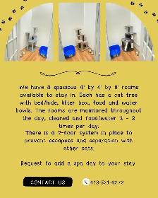 Pampered Pet Kitty Hotel - Photo 2