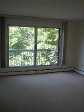NAIT, Large Reno’d 1 Bedroom Apt in a very Clean, Quiet Building - Photo 2