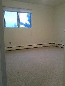 NAIT, Large Reno’d 1 Bedroom Apt in a very Clean, Quiet Building - Photo 3