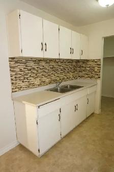 NAIT, Large Reno’d 1 Bedroom Apt in a very Clean, Quiet Building - Photo 4