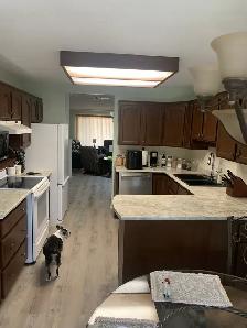 Fully Furnished Rental - Photo 5