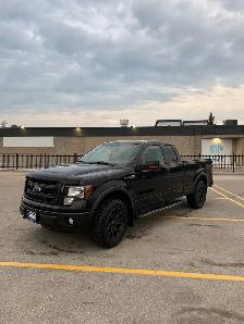 2013 Ford F150 FX4 5.0 - Photo 3