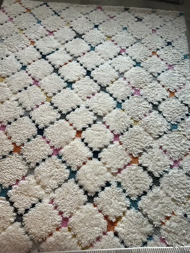 Shampoo Steam Area Rugs Runners $40