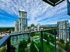 Furnished Surrey Central Studio – $1,600/mth inc hydro& internet