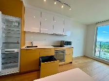 Furnished Surrey Central Studio – $1,600/mth inc hydro& internet - Photo 3
