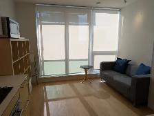 Furnished Surrey Central Studio – $1,600/mth inc hydro& internet - Photo 14
