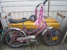 Classic Girls CCM Cheetah Bike