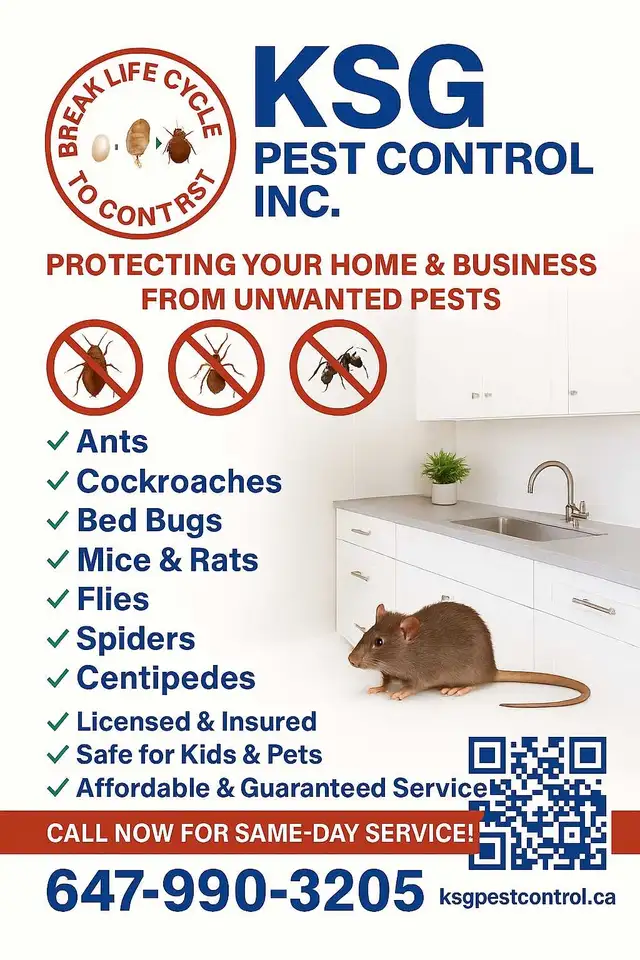 KSG Pest Control Services | Bed Bugs, Roaches, Mice