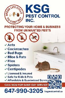 KSG Pest Control Services | Bed Bugs, Roaches, Mice