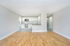 renovated two bedroom, queen and victoria park - ID 2053 - Photo 11