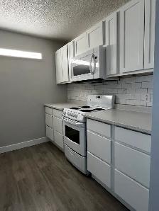 ONE BEDROOM APARTMENT LOCATED IN THE HEART OF DOWNTOWN DARTMOUTH - Photo 2