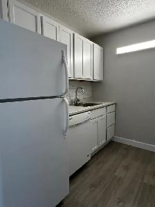 ONE BEDROOM APARTMENT LOCATED IN THE HEART OF DOWNTOWN DARTMOUTH - Photo 3