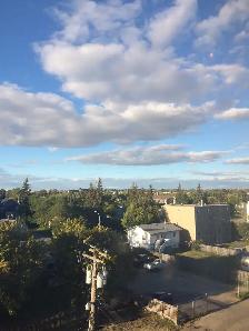 #7361 -1 Bed/1 Bath Condo $1450 Available Oct 1st  H/W incl. - Photo 16