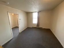 1 Bedroom Apartment in Downtown Thorold - Photo 3
