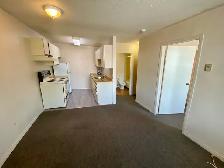 1 Bedroom Apartment in Downtown Thorold - Photo 4