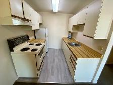1 Bedroom Apartment in Downtown Thorold - Photo 5