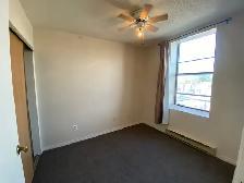 1 Bedroom Apartment in Downtown Thorold - Photo 9