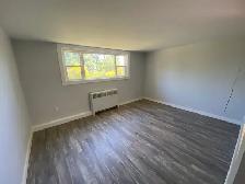 2 Bedroom Apartment Just Steps from the Niagara River! - Photo 2