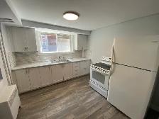 2 Bedroom Apartment Just Steps from the Niagara River! - Photo 4