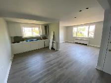 2 Bedroom Apartment Just Steps from the Niagara River!