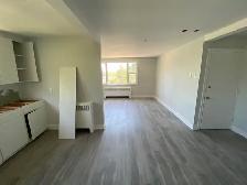 2 Bedroom Apartment Just Steps from the Niagara River! - Photo 2