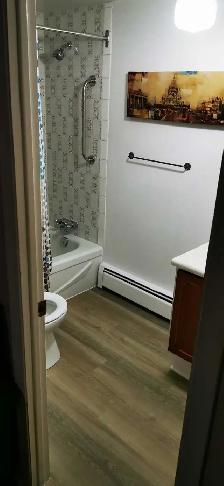 ✨ GRANDE CHAMBRE MEUBLÉE À LOUER – STYLE LOFT AVEC SALLE DE BAIN - Photo 5