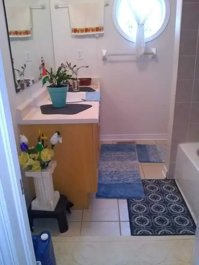 Renting 1 bedroom basement