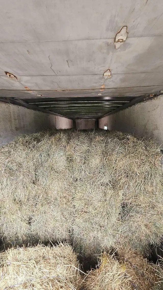 fresh second cut hay