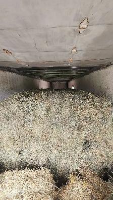 fresh second cut hay