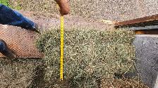 fresh second cut hay - Photo 2