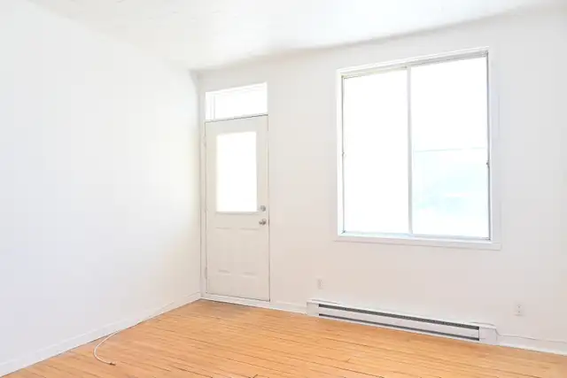 950$ par mois - Grand 3 1/2 dans M-H-M (Tétreaultville)