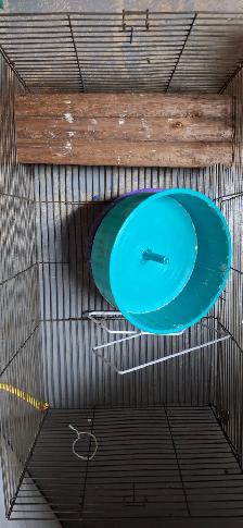 Large Lot with Hamster/ Guinea Pig Cage and Multiple Accessories - Photo 2