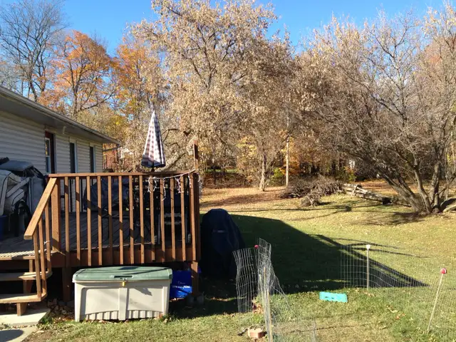 Country Living in the City