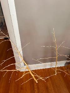 Jewelry display branches