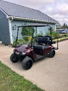 2018 Ezgo TXT 48 volt Electric Golf Cart