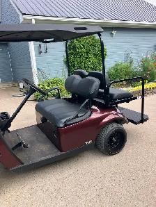 2018 Ezgo TXT 48 volt Electric Golf Cart - Photo 2