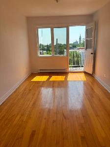 Grand 4-1/2 - Hochelaga Maisonneuve