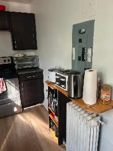 Looking for Female Roommate for a Four Bedroom / 1 Bathroom Apt - Photo 8
