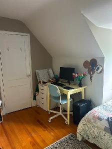 Looking for Female Roommate for a Four Bedroom / 1 Bathroom Apt - Photo 22