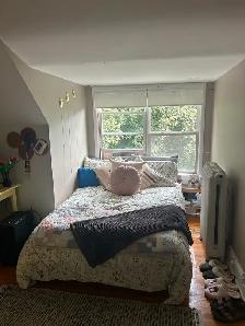 Looking for Female Roommate for a Four Bedroom / 1 Bathroom Apt - Photo 23