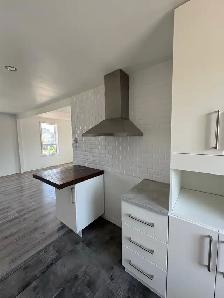 4½ lumineux avec walk-in – rue Massicotte, Tr - Photo 3