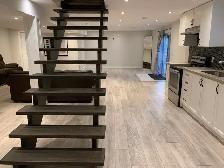 basment - Newmarket - Photo 4