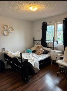 Looking to rent