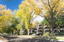 1 1/2 Ste-Foy - Tout inclus - près du cégep Garneau - décembre