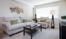 Stunning Bachelor suites at The Crest in Nanaimo! - Photo 5