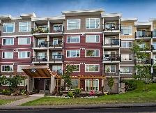 Stunning Bachelor suites at The Crest in Nanaimo! - Photo 14