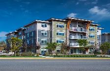 Stunning 2 bedroom rentals in Nanaimo at Summerhill Village! - Photo 8