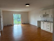 Superbe beau grand 4 1/2, Ste-Émile Libre - Photo 5