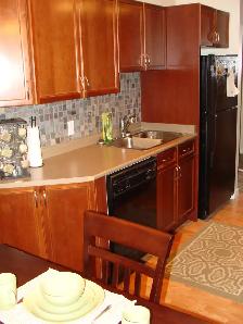 Quiet condo, easy access to MacEwan, NAIT and U of A - Photo 3